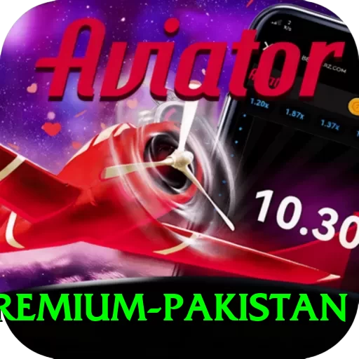 3 Card Fly Game Premium Pakistan - 2